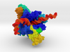 RNA Polymerase I 3d printed 