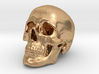 Skull Scientific 62mm 3d printed 