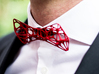 Structural Bowtie 3d printed 