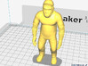Trainer_3D 3d printed 