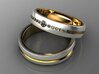 #255 Wedding Rings for Man and Woman 3d printed 