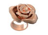 Rosa solitaria_M 3d printed 