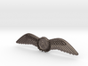 RAA (Recreational Aviation Australia) Wings / Brev 3d printed 