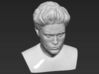 Edward Cullen from Twilight bust 3d printed 