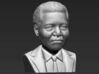 Nelson Mandela bust 3d printed 