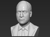 Prince William bust 3d printed 