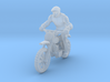 MX BikeRider   1:120 TT 3d printed 