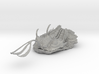 Trilobite - Walliserops Trifurcatus 3d printed 