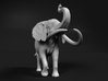 African Bush Elephant 1:45 Aggressive Male 3d printed 
