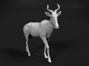 Coke's Hartebeest 1:64 Walking Male 3d printed 