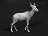 Bubal Hartebeest 1:6 Walking Male 3d printed 