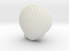 Small Seashell Pendant Closed 3d printed 