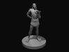 Drow Favored Consort 3d printed 