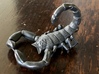Scorpion Bottle Opener 3d printed 