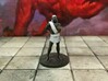 Drow Favored Consort 3d printed 