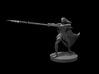 Drow Inquisitor 3d printed 
