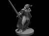 Eladrin Male Melee 3d printed 