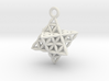 Flower Of Life Star Tetrahedron Pendant .8" 3d printed 