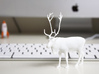 3D scanned Reindeer  3d printed The reindeer printed in White Plastic