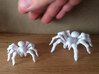 Jointed spider kit 3d printed Photo of 3D model