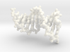 DNA Helix - polynucleotide molecule 3d printed 