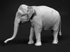 Indian Elephant 1:120 Standing Female 1 3d printed 