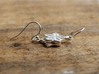 Crinoid Star Earrings - Science Jewelry 3d printed Crinoid Star Earrings in natural silver