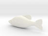 Crappie Bait 7" (178mm) 3d printed 