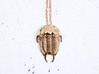 Tricrepicephalus Trilobite Pendant  3d printed Tricrepicephalus Trilobite pendant in polished bronze