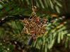 Stellated Dodecahedron Bauble 3d printed Natural Bronze