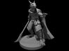 Dragonborn Sorcerer - Psion with Glaive 3d printed 