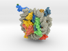 Nucleosome 1kx5 Methyl Groups 3d printed 