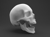 skull 1:8 26 mm 3d printed 