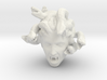 Medusa's Head 3d printed 