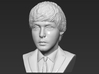 Paul McCartney bust 3d printed 