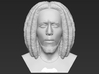 Bob Marley bust 3d printed 