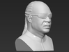 Stevie Wonder bust 3d printed 