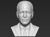 Joe Biden bust 3d printed 