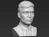 Tommy Shelby bust 3d printed 