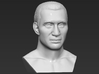 Wladimir Klitschko bust 3d printed 