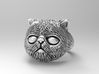 Persian kitten ring size 7 3d printed 