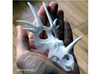 Styracosaurus Skull- 1/18th scale replica 3d printed 