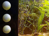 Hi-efficiency aquarium filter strainer diam=24mm 3d printed 