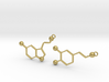 Dopamine & Serotonin Earrings 3d printed 