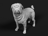 Pug 1:87 Standing Male 3d printed 
