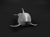 Bottlenose Dolphin 1:20 Out of the water 2 3d printed 