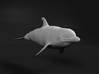 Bottlenose Dolphin 1:48 Swimming 2 3d printed 