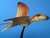 Dimorphodon - model pterosaur 3d printed 