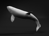 Killer Whale 1:16 Breaching Female 3d printed 