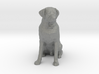 S Scale Labrador 3d printed This is a render not a picture